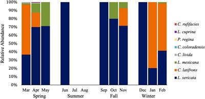 A survey of blow fly (Diptera: Calliphoridae) populations in Phoenix, Arizona